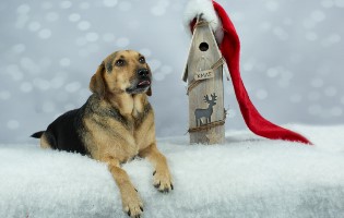 Thumbnail Placeholder