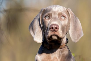 Thumbnail Placeholder